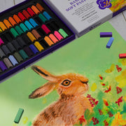 Artecho 66pcs Soft Pastels, 64 Colors